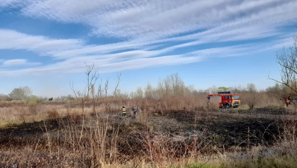 Incendii vegetație uscată. FOTO ISU Dâmbovița