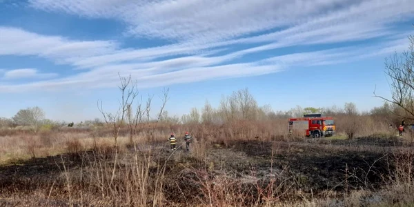 Incendii vegetație uscată. FOTO ISU Dâmbovița