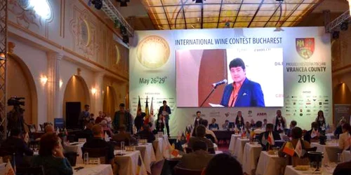 focsani vin