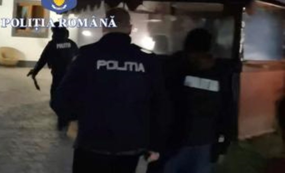Toni Greblă trimite la Parchetul General documentele depuse de Diana Șoșoacă la BEC