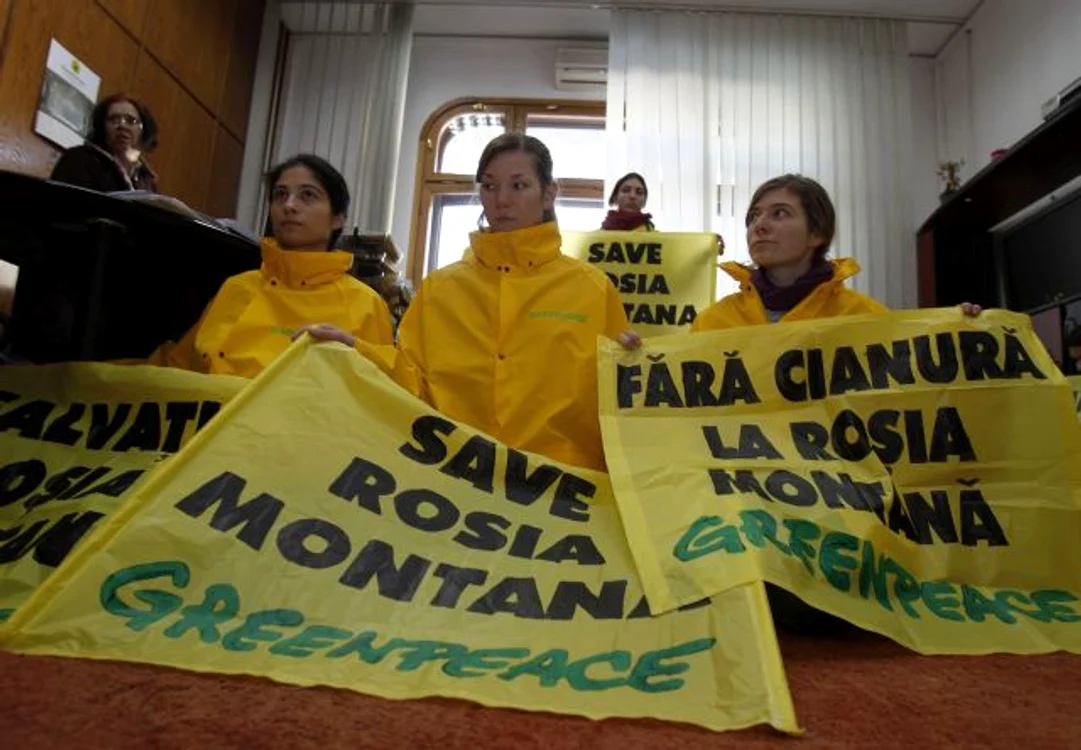 Activiştii Greenpeace s-au legat cu lanţuri în biroul ministrului Borbely (Foto: Reuters)