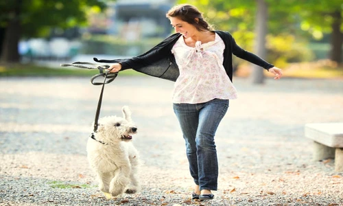 1 80481 original jpg jpeg