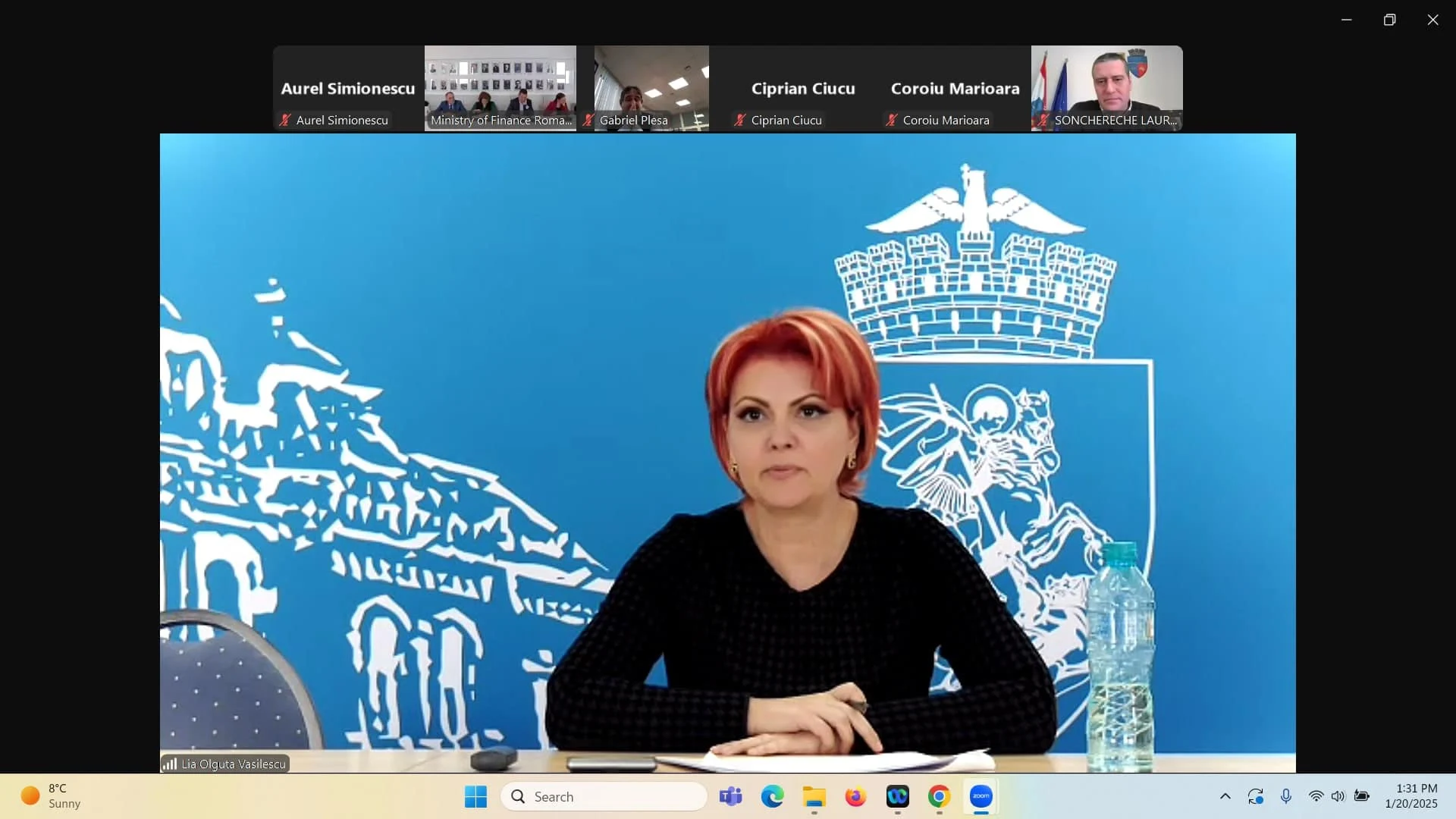 Lia Olguța Vasilescu se laudă cu „recorduri istorice” ale guvernării social democrate: „PSD se opune politicilor deficitare de austeritate”