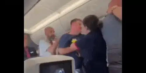 avion gif gif