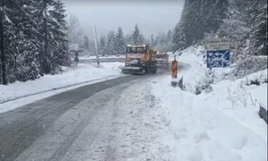 Ninsori abundente la munte, cu până la 35 de cm strat de zăpadă pe DN 7A FOTO: captură video FB