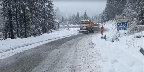 Ninsori abundente la munte, cu până la 35 de cm strat de zăpadă pe DN 7A FOTO: captură video FB
