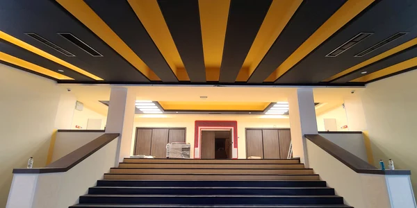Cinema Timiș FOTO Dominic Fritz