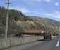 Pentru defrişările şi jaful din pădurile de pe Valea Muntelui nu există vinovaţi FOTO Mircea Merticariu