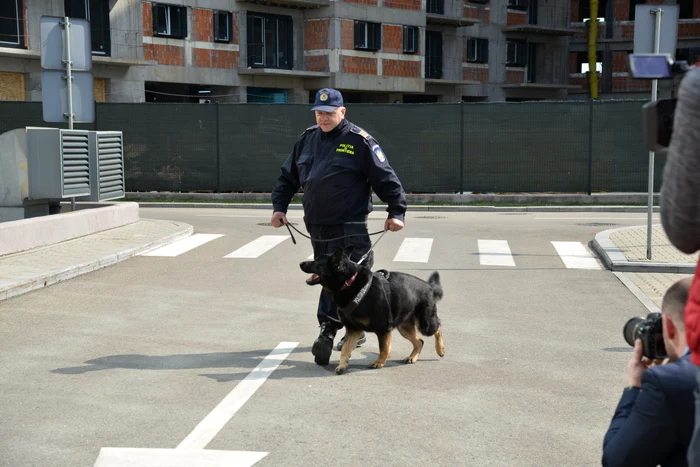 Voc și Marinică Ioniță se antenează în fiecare zi