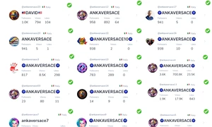 anka versace tiktok FOTO efor png