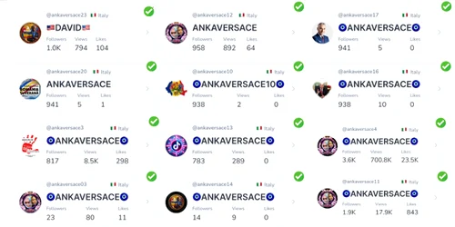 anka versace tiktok FOTO efor png