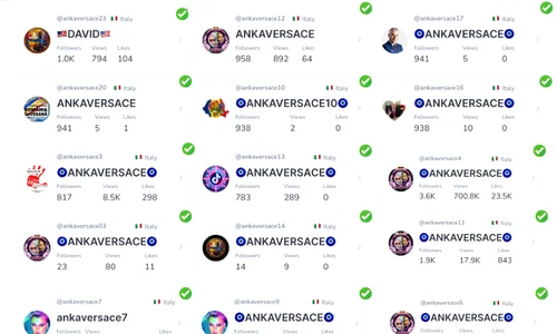 anka versace tiktok FOTO efor png