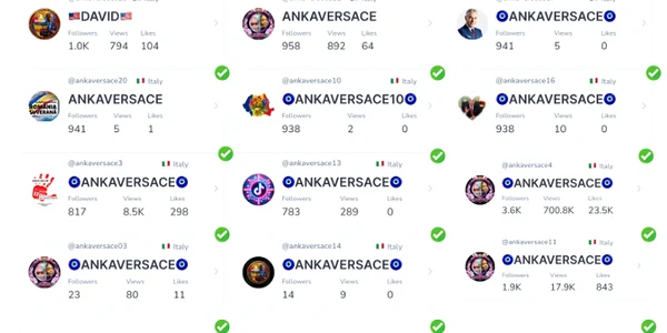 anka versace tiktok FOTO efor png