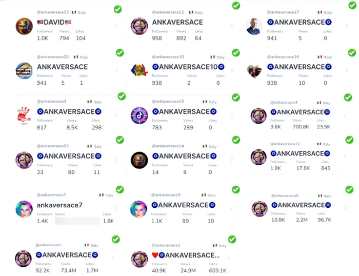 Anka Versace, o rețea coordonată care promova teorii ale conspirației pe TikTok FOTO: EFOR