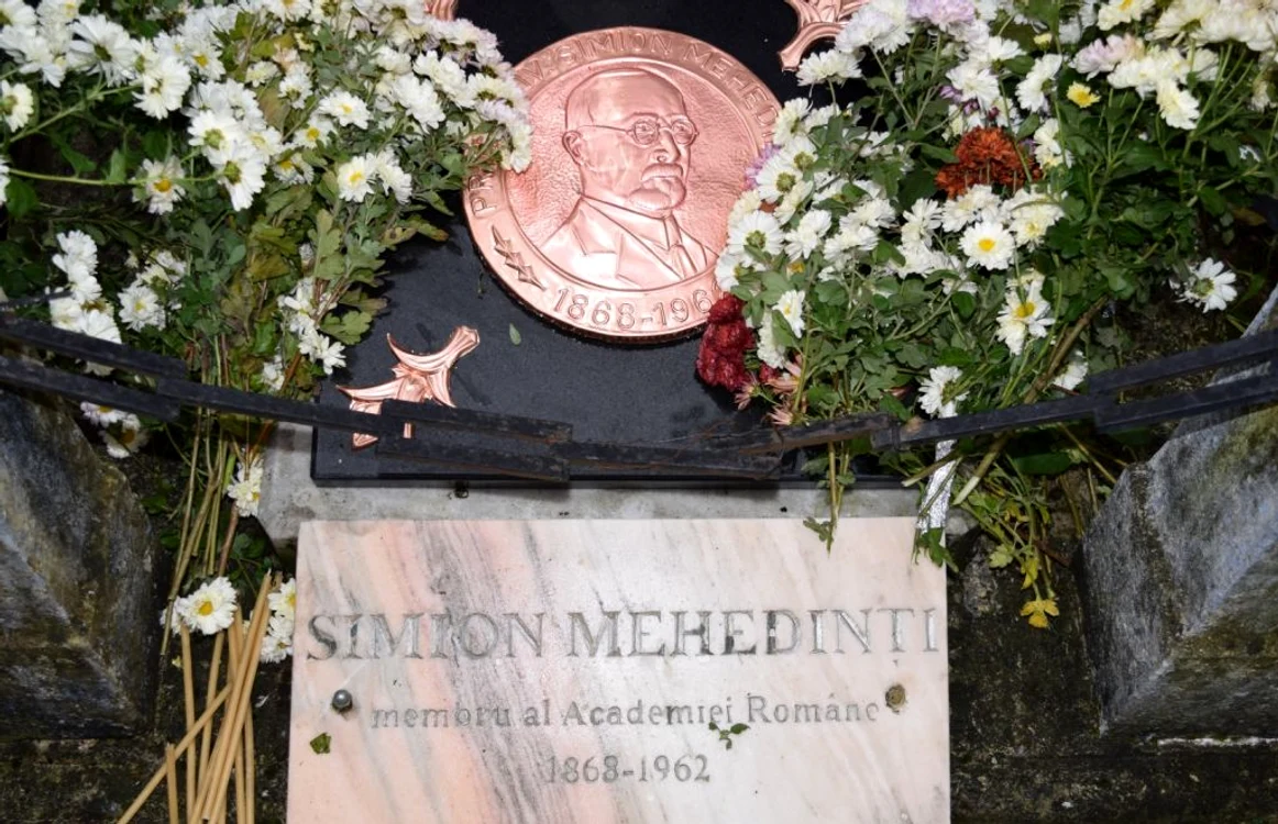 soveja simion mehedinti