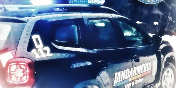 janarmidb