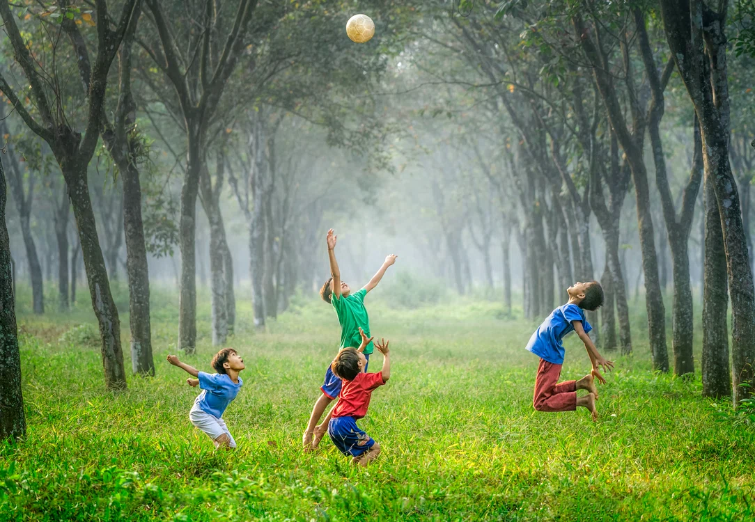 
    foto: unsplash  