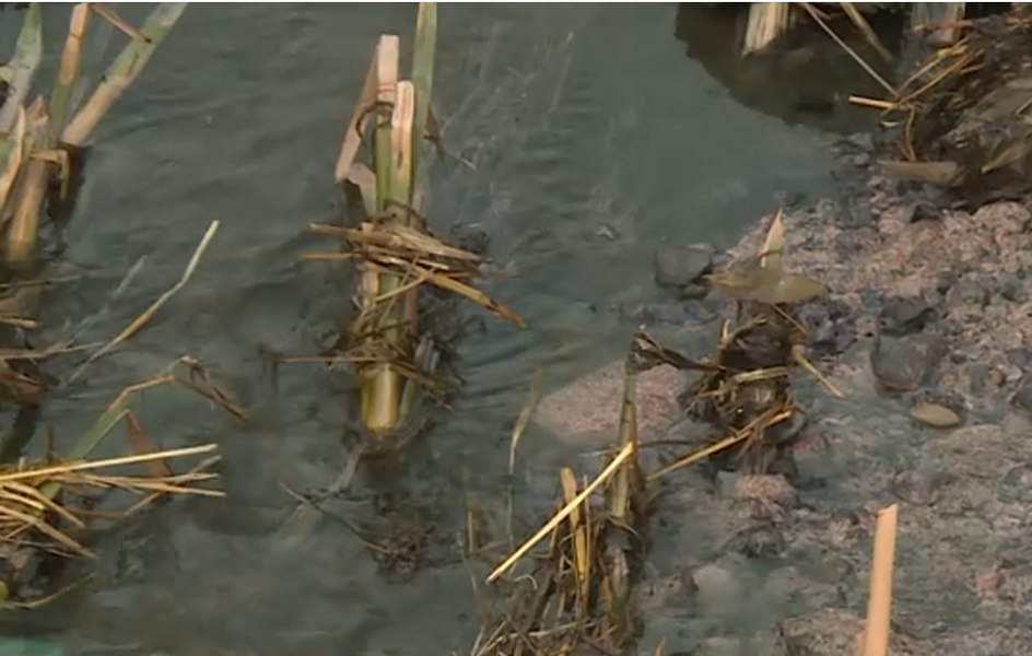 Dezastru ecologic la doi pași de București. Cum a ajuns apa de puț din Ilfov o adevărată sursă de infecție