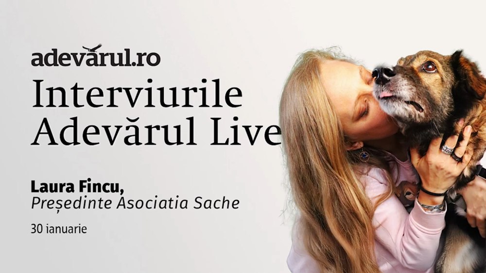 Povestea lui Sache, cățelul care a dat primul spital veterinar social din România, cu Laura Fincu, Președinte Asociația Sache 
