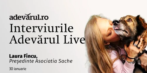 Spitalul social Sache mp4 thumbnail png