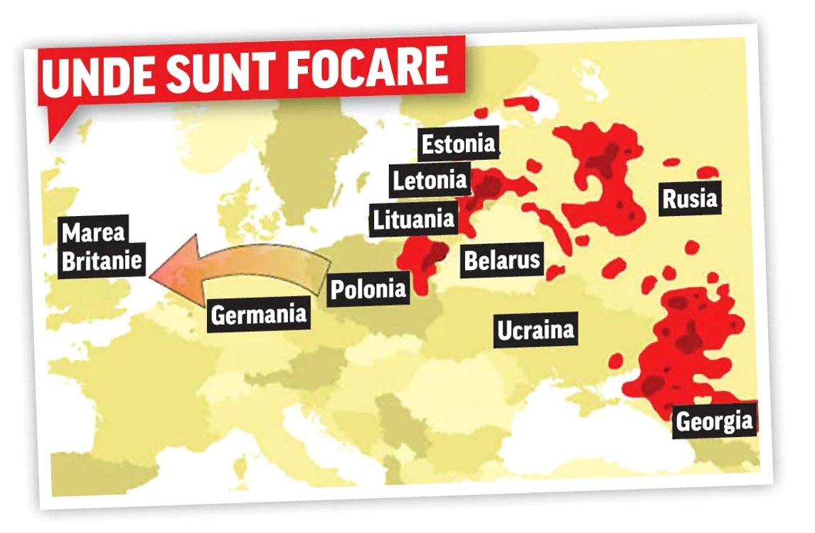Britanicii sunt speriaţi de  o posibilă extindere  a bolii dinspre Polonia