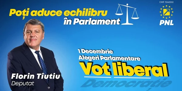 afis electoral florin tiutiu   foto Fb florin gehroghe tiutiu jpg