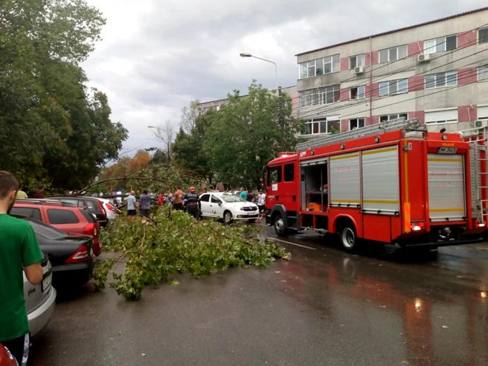 Vijelie în municipiul Constanţa