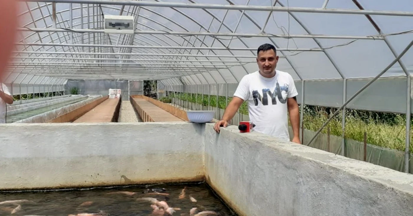 Gabriel Vanghelie speră să scoată pe piaţă, în două luni, salată crescută cu substanţe nutritive produse de peşti FOTO: Adevărul