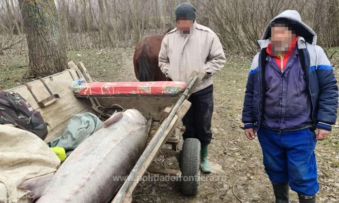 FOTO: Poliţia de Frontieră