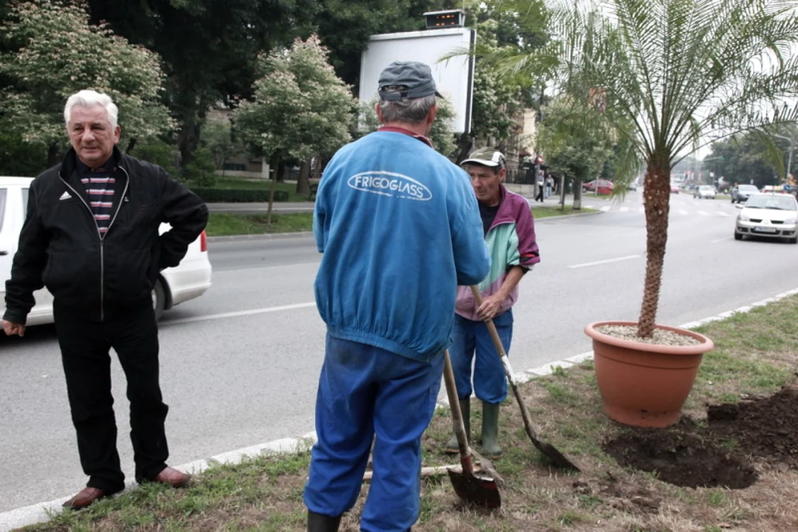 Angajaţii Horticultura coordonaţi de Andrei Drăgilă (stânga) trebuie să cureţe în următoarele 80 de zile coşurile de gunoi din oraş FOTO pressalert.ro