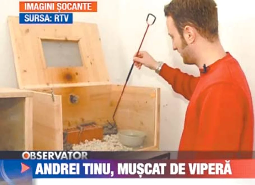 Andrei Tinu a fost muşcat de o viperă în timp ce arăta echipei RTV cum se colectează veninul  Fotografii: capturi rtv