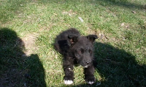 Oameni raţionali şi locuri de legendă jpeg