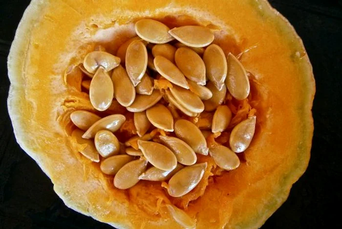 Sunt scut în bolile cardiovasculare.www.clickpentrufemei.ro