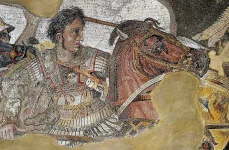 alexander mosaic analysis 2 webp