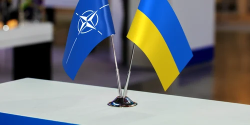 shutterstock 2316436439 jpg