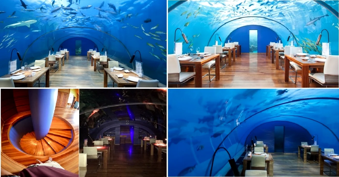 Primul restaurant submarin şi cel mai frumos din lume-  Ithaa, Maldive