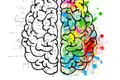 brain 2062057 640 jpeg