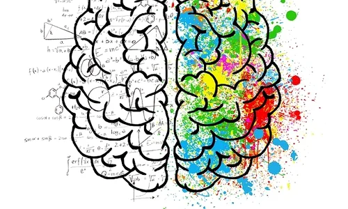 brain 2062057 640 jpeg