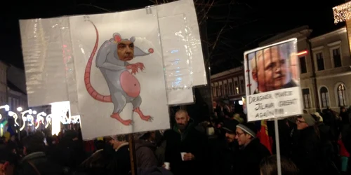 protest cluj foto stefan lica