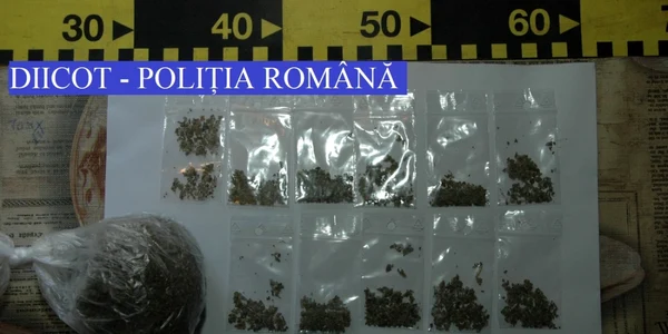 diicot droguri