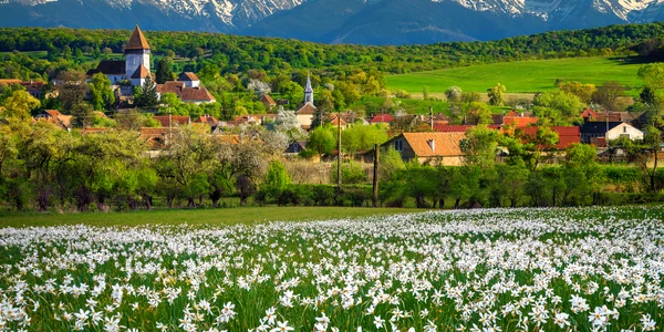 rsz transilvania   shutterstock 1694418106 jpg