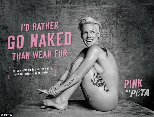 peta pink jpeg