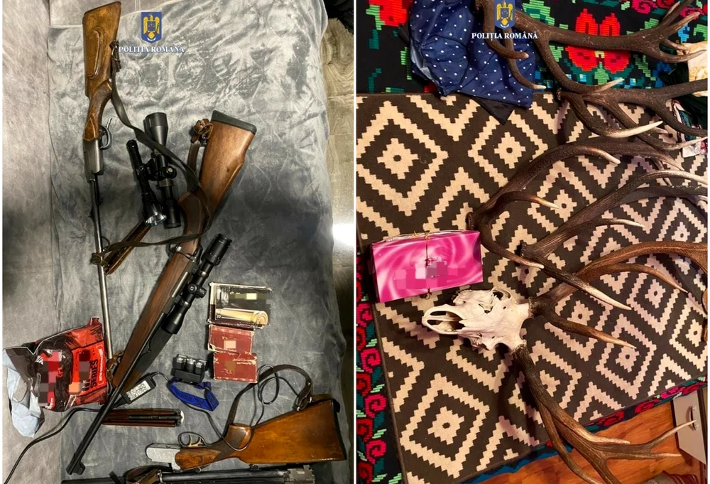 Arme și trofee, descoperite la percheziții FOTO IPJ Alba