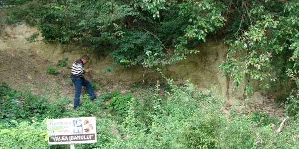 Valea Ibanului 