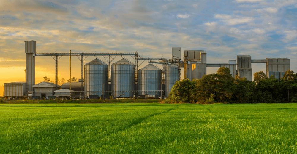 Tranzitul de produse agricole și alimentare ucrainene. Kievul discută cu Varșovia și Bucureștiul