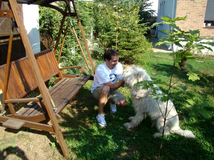 Dan Negru este foarte ataşat de ciobănescul mioritic