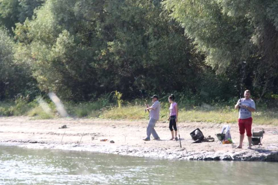 Permisul de pescuit pentru zona Rezervaţiei se obţine de la ARBDD FOTO Arhivă Adevărul