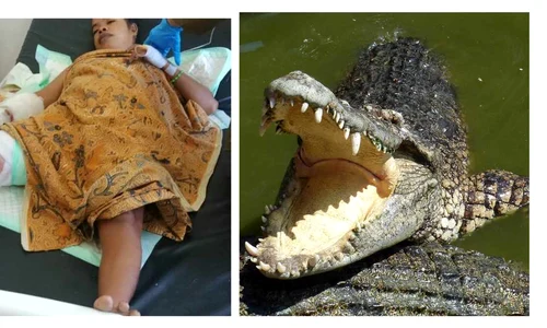falmira de jesus atac crocodil profimedia jpg