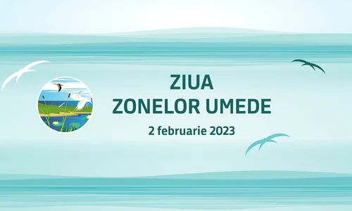 Ziua Mondială a Zonelor Umede la Muzeul Antipa