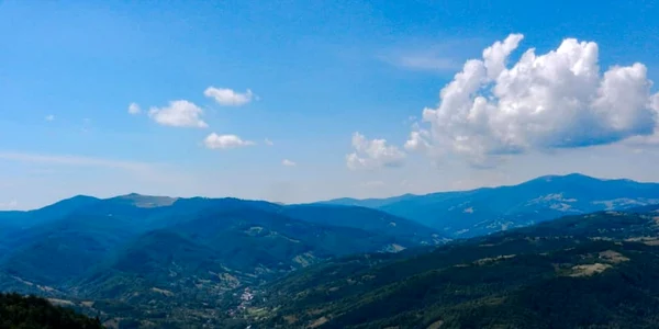 apuseni vidra alba